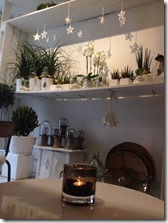 des plantes
