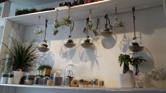 entourees-de-belles-plantes entourees-de-belles-plantes