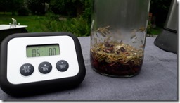 infusion-a-chaud-les-filles-du-the (2)
