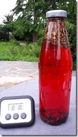 infusion-a-froid-les-filles-du-the