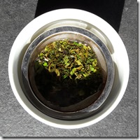 infusion-singtom infusion-singtom