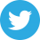 Bouton Twitter