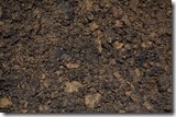 terre-humide-puer-les-filles-du-the