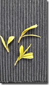 Anji-bai-cha-feuilles-jaunes-the-vert-de-chine-les-filles-du-the Anji-bai-cha-feuilles-jaunes-the-vert-de-chine-les-filles-du-the
