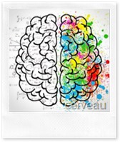 cerveau-michel-cymes-the-vert