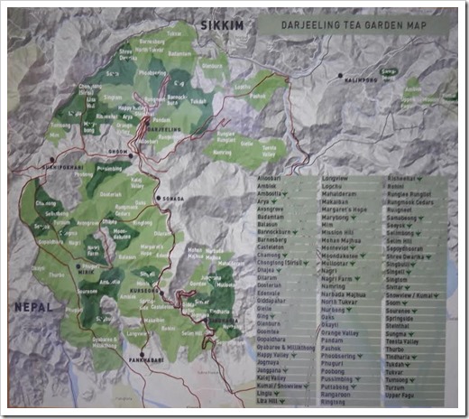 jardins-de-darjeeling-les-filles-du-the